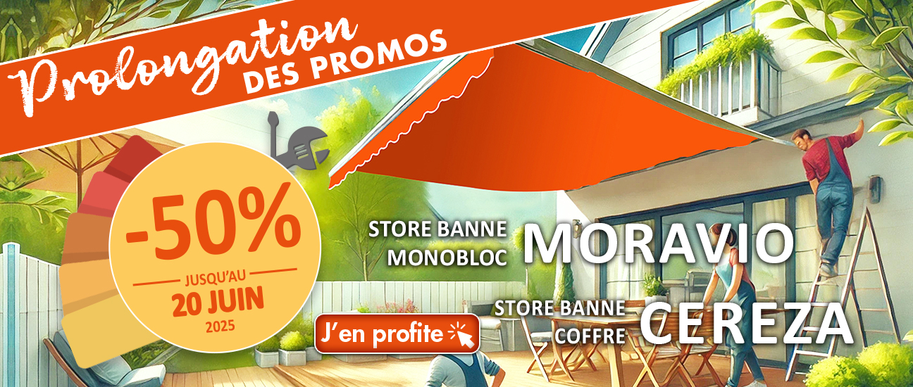 Promo stores bannes